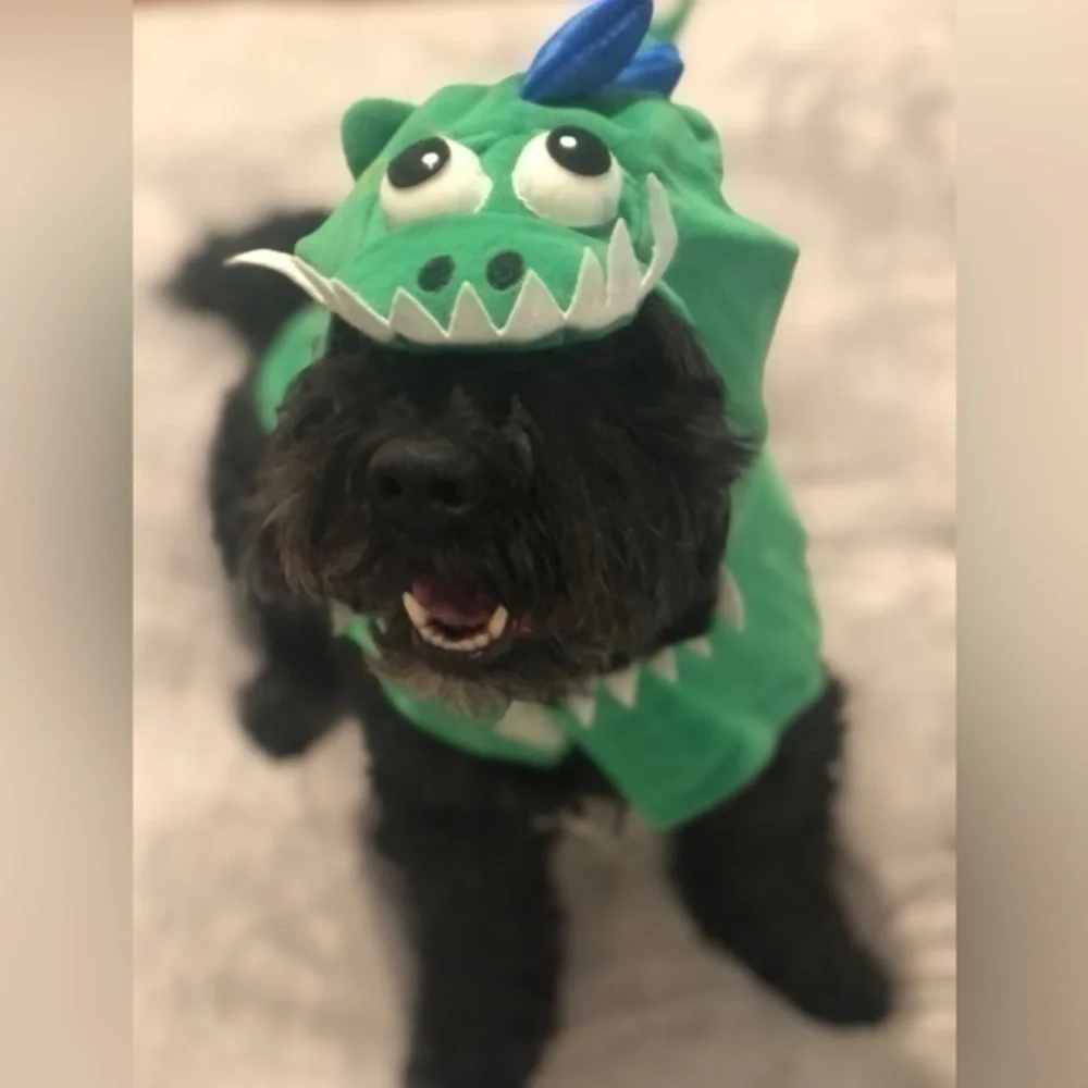 Dog dinosaur costume